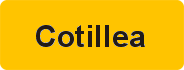 Cotillea